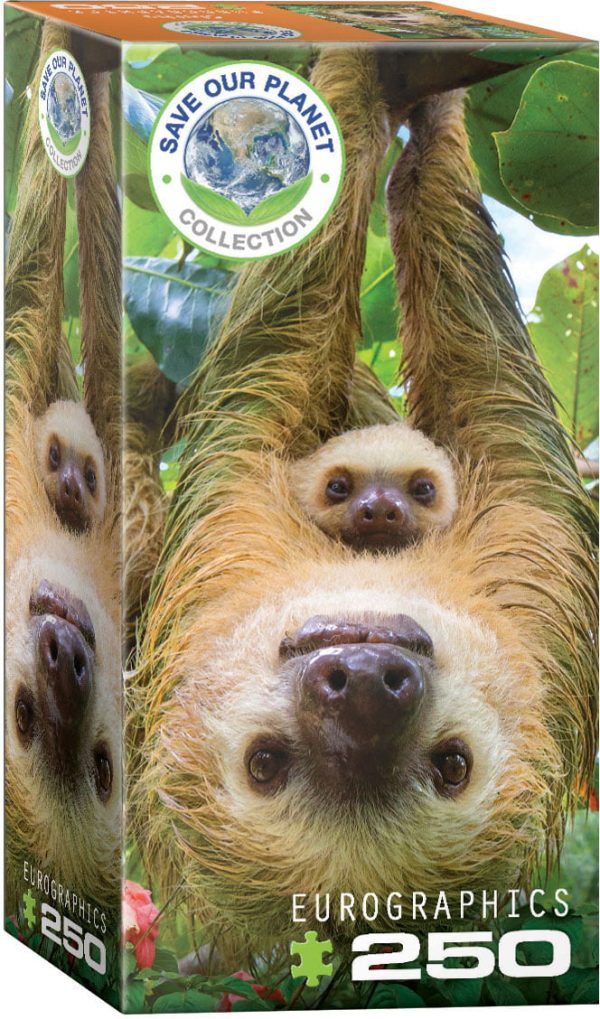 Eurographics Sloths 250