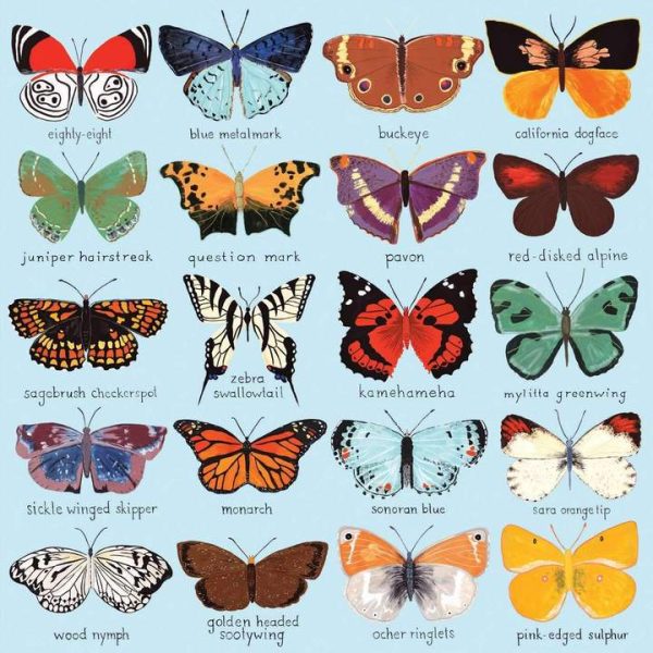 Mudpuppy Butterflies of North America - Image 2