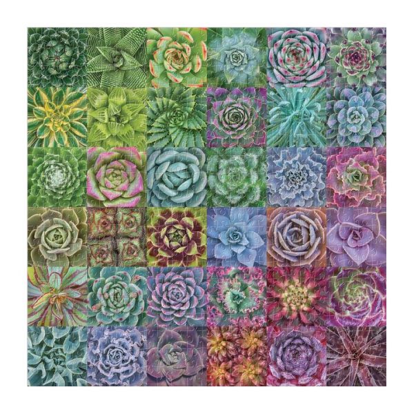 Galison Succulent Spectrum 500 - Image 2