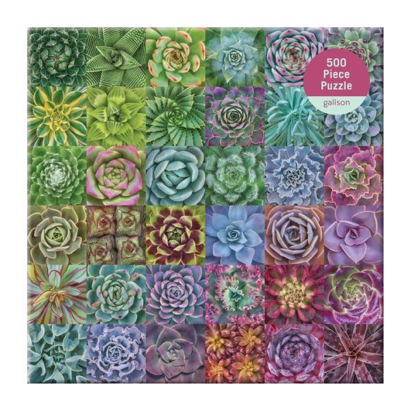 Galison Succulent Spectrum 500 - Image 3