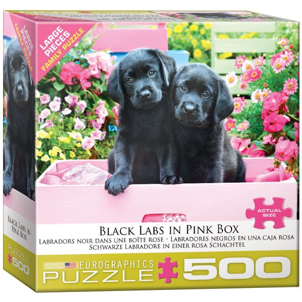 Eurographics Black Labs in Pink Box