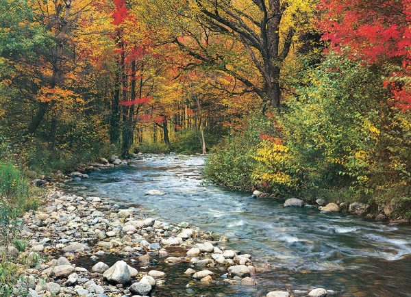 Eurographics Forest Stream - Image 3
