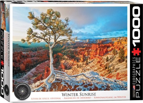 Eurographics Winter Sunrise