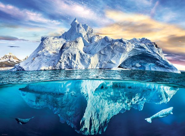 Eurographics Arctic - Image 2