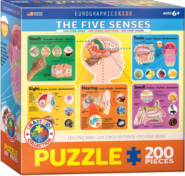 Eurographics The Five Senses