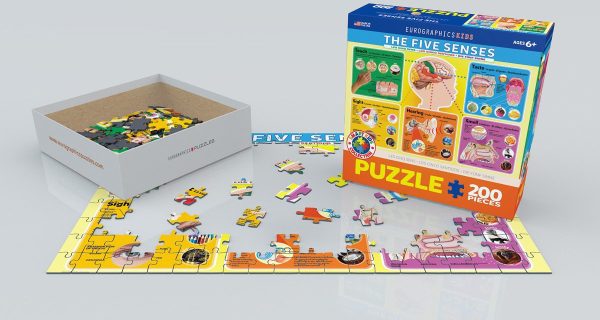 Eurographics The Five Senses - Image 2