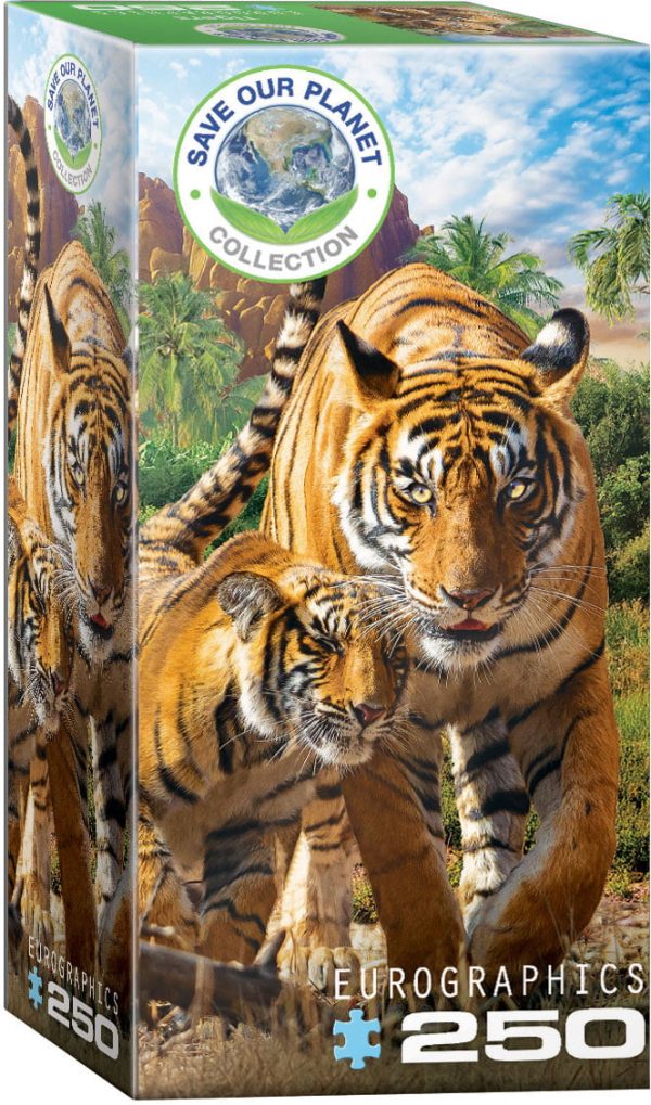 Eurographics Tigers 250