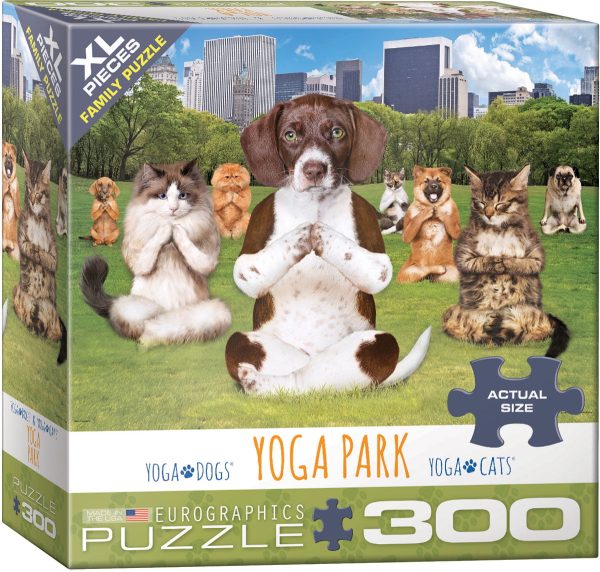 Eurographics Yoga Park 300
