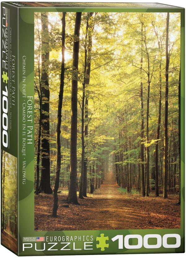 Eurographics Forest Path 1000