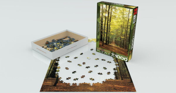 Eurographics Forest Path 1000 - Image 2