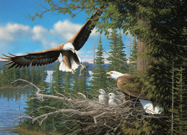 Cobble Hill Nesting Eagles - Image 2