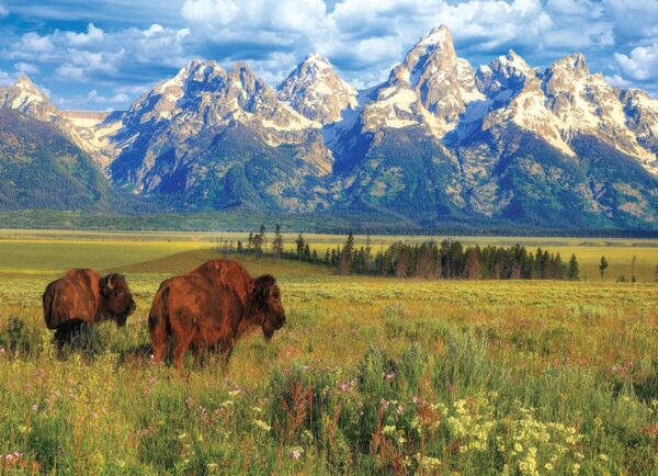 Eurographics Grand Teton National Park 1000 - Image 2