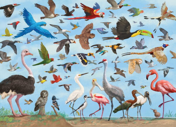 Peter Pauper Press All the Birds - Image 2