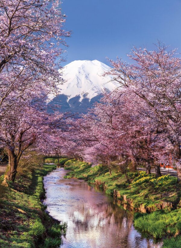 Clementoni Fuji Mountain 1000 - Image 2
