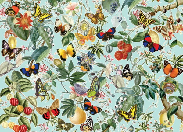 Cobble Hill Fruit and Flutterbies - Image 2