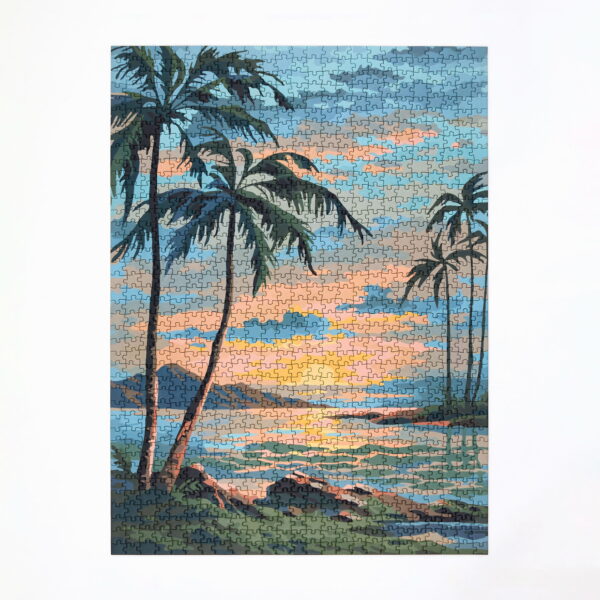 Four Point Puzzles Paint by Numbers-Tropics 1000