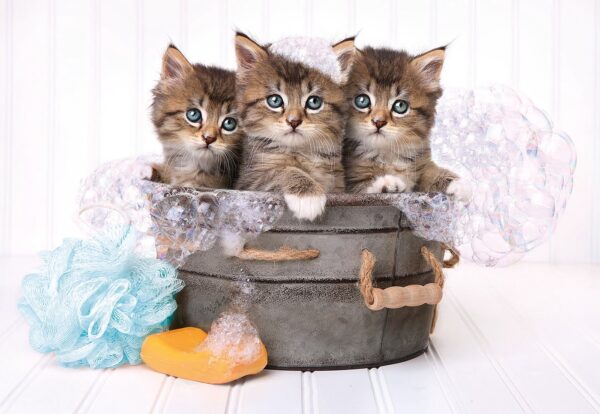 Clementoni Lovely Kittens 180 - Image 2