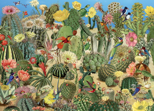 Cobble Hill Cactus Garden 1000 - Image 2