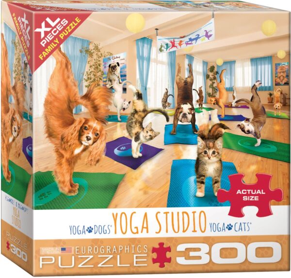 Eurographics Yoga Studio