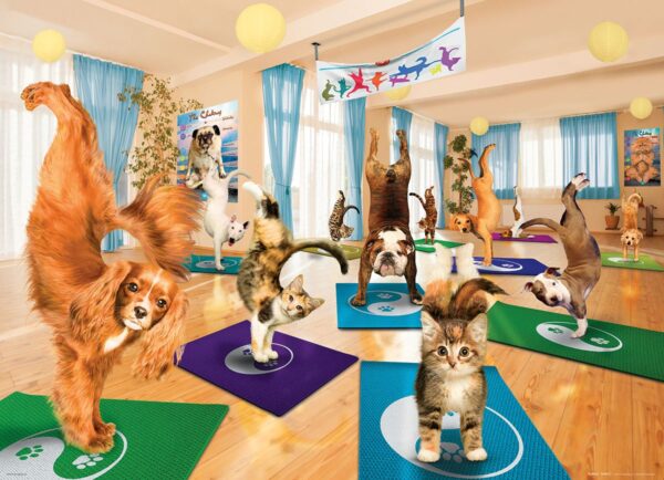 Eurographics Yoga Studio - Image 2