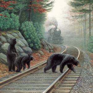 SunsOut Bear Tracks 500