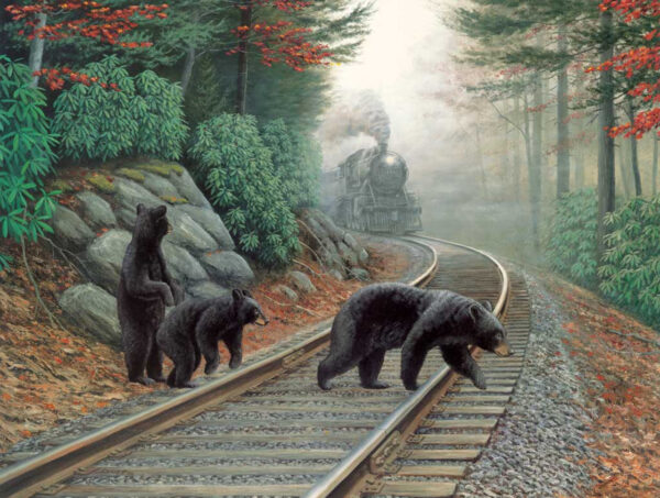 SunsOut Bear Tracks 500