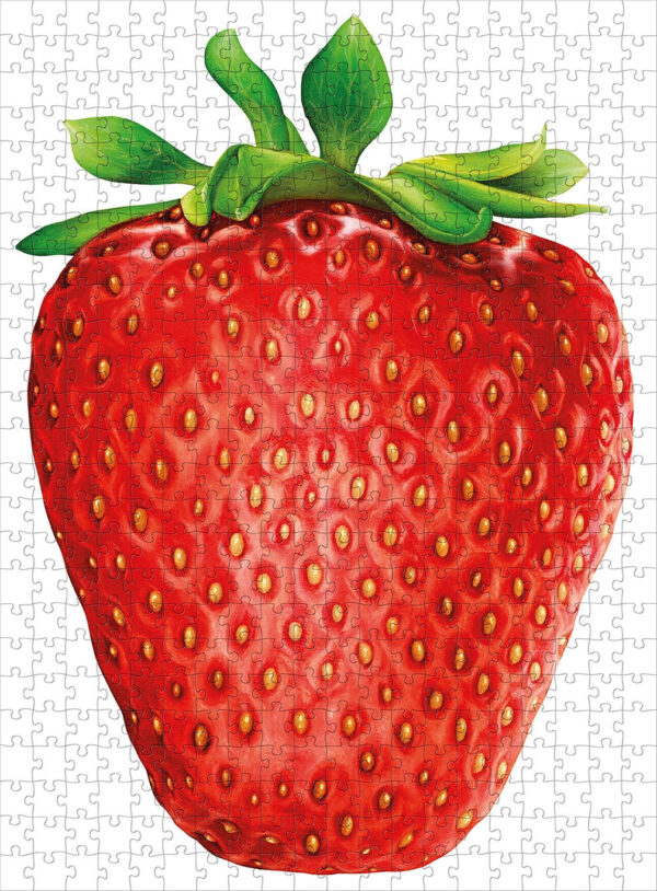 Hummingbird I Like Strawberry 1000 - Image 2