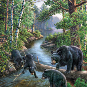 SunsOut Bear Pause 500