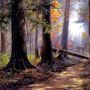 SunsOut Peaceful Path 500