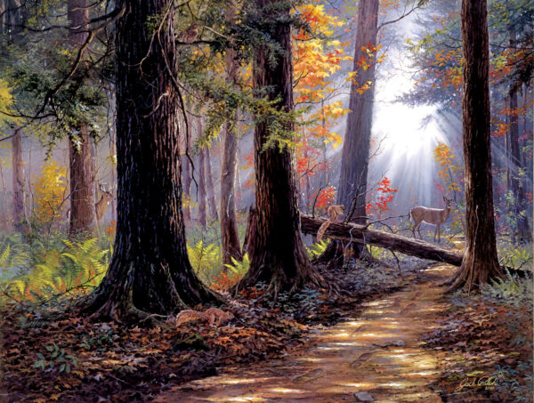 SunsOut Peaceful Path 500