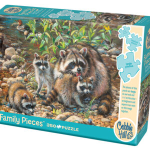 Cobble Hill Racoon Family (Family) 350