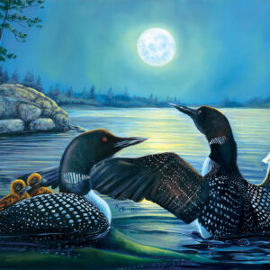 SunsOut Moonlight Serenade 500