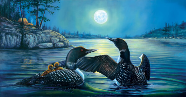 SunsOut Moonlight Serenade 500