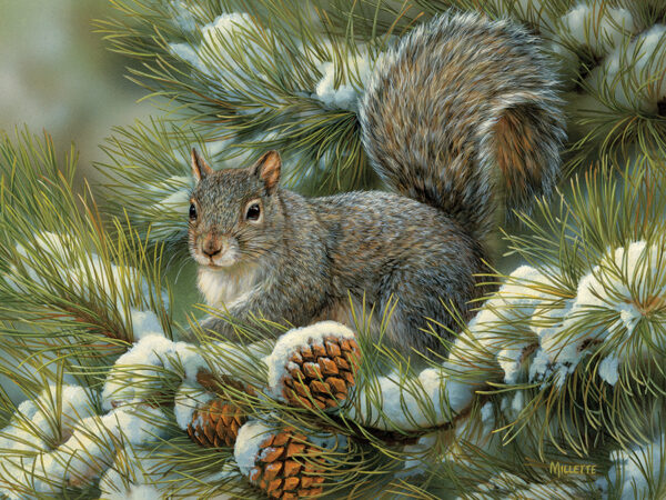 Cobble Hill Gray Squirrel 275 - Image 2