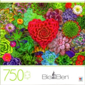 Milton Bradley Big Ben Succulent Love 750