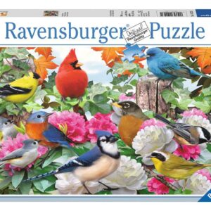 Ravensburger Garden Birds 500