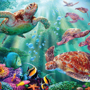Crown Point Graphics Turtle Voyage 1000