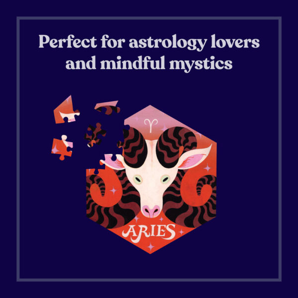 12 Puzzles in One Box: What's Your Sign? - Image 4